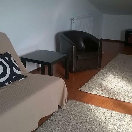 Alexander Apartment Bukares Bagian luar foto