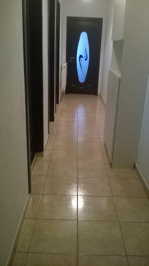 Alexander Apartment Bukares Bagian luar foto